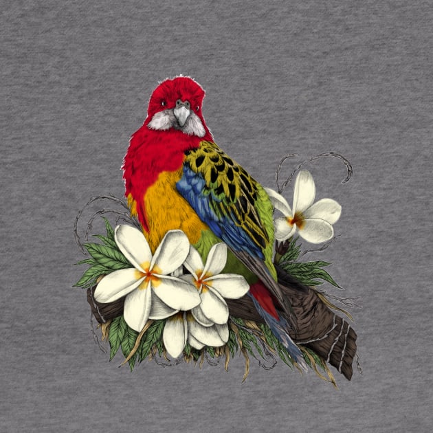 Eastern Rosella and Plumerias by jamieroberts